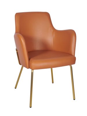Camden Armchair Tube Frame